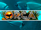 Игровой автомат Orca