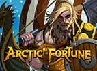 Игровой автомат Arctic Fortune