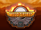 Играйте в новый автомат Wild Spirit