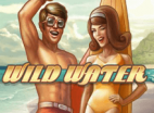 Игровой автомат Wild Water